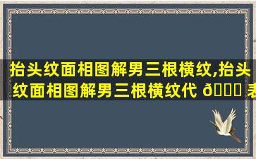 抬头纹面相图解男三根横纹,抬头纹面相图解男三根横纹代 🍀 表什么